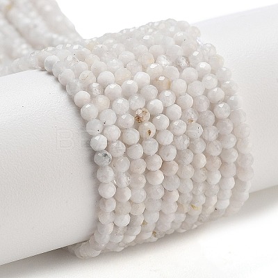 Natural Rainbow Moonstone Beads Strands G-G161-A01-01-1