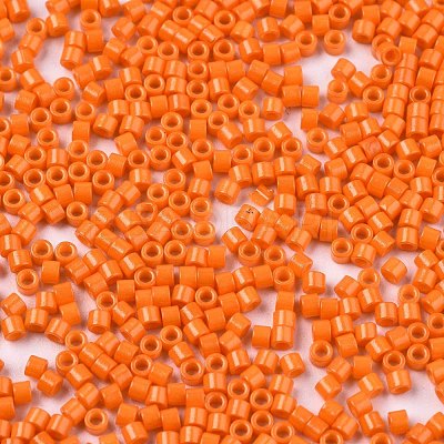 FGB 11/0 Grade A Glass Seed Beads X-SEED-S030-1019-1