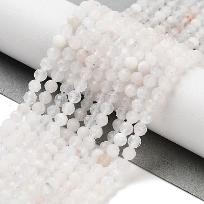 Natural Rainbow Moonstone Beads Strands G-P500-01C-01A-1
