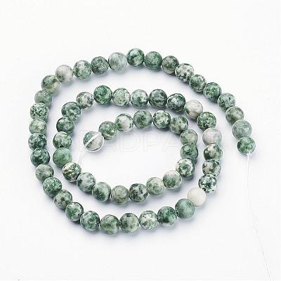 Gemstone Beads Strands GSR6mmC006-1