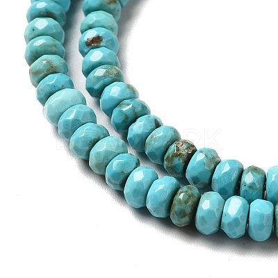 Natural Howlite Beads Strands G-C025-10B-1