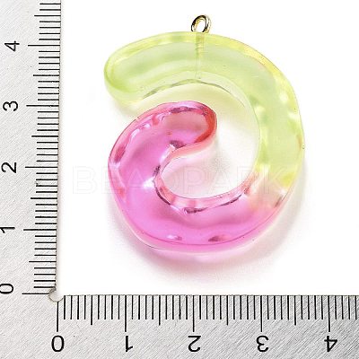 Resin Pendant FIND-Q107-01G-04-1
