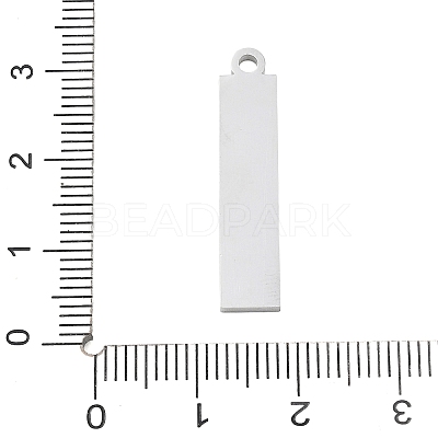304 Stainless Steel Pendants SA-CBAE115-13B-P-1