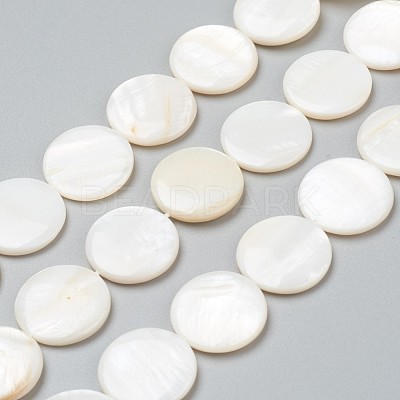 Natural Freshwater Shell Beads BSHE-I011-01A-02-1