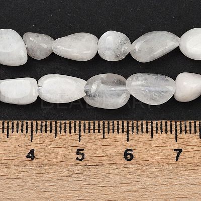 Natural Rainbow Moonstone Beads Strands G-G018-48-01-1
