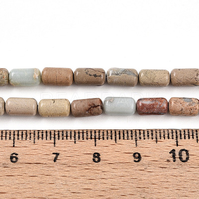 Natural Shoushan Stone Beads Strands G-N346-01A-07-1