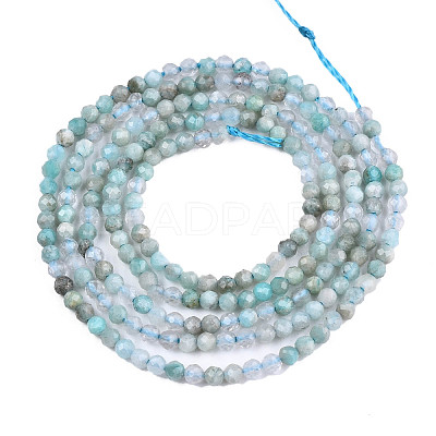 Natural Russia Amazonite Beads Strands G-S300-13-2mm-1
