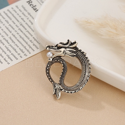 Dragon Men's Alloy Brooch for Backpack Clothes PW-WG39140-12-1