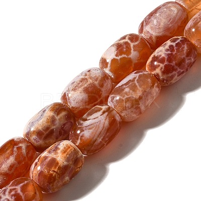 Natural Fire Crackle Agate(Dyed & Heated) Beads Strands G-H091-C03-01-1