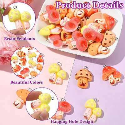 30Pcs 5 Styles Resin Pendants RESI-CJ0005-20-1