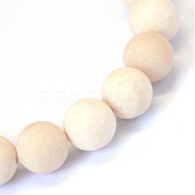 Frosted Natural Fossil Round Bead Strands G-E334-8mm-22-1