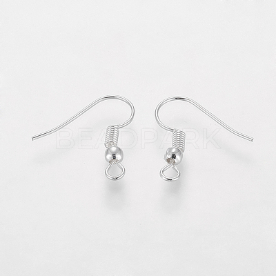 Grade A Silver Color Plated Iron Earring Hooks EC135-S-NF-1