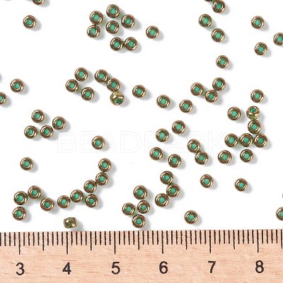 MIYUKI Round Rocailles Beads SEED-G008-RR0307-1