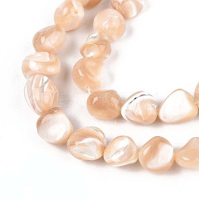 Natural Trochid Shell/Trochus Shell Beads Strands SSHEL-N040-13-1