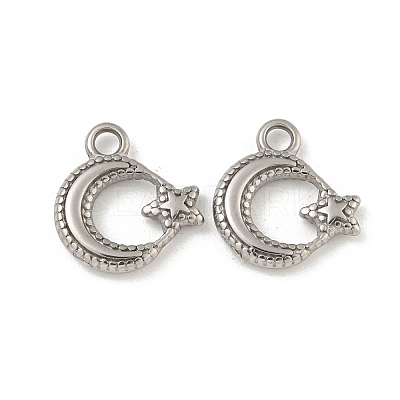 Non-Tarnish 304 Stainless Steel Charms STAS-N103-124P-1