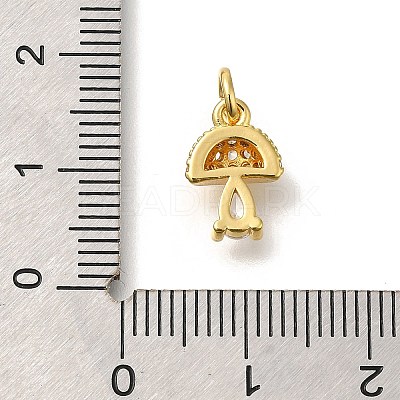 Brass Micro Pave Cubic Zirconia Charms KK-M295-21G-1