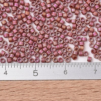 MIYUKI Delica Beads X-SEED-J020-DB2306-1