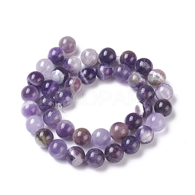 Natural Chevron Amethyst Beads Strands G-I222-10mm-01-1