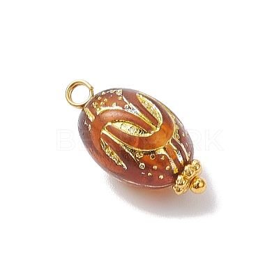 Transparent Acrylic Pendants PALLOY-JF04345-1