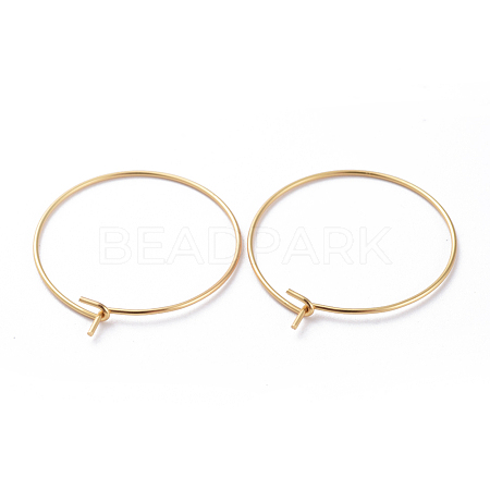 316 Surgical Stainless Steel Hoop Earring Findings X-STAS-J025-01C-G-1