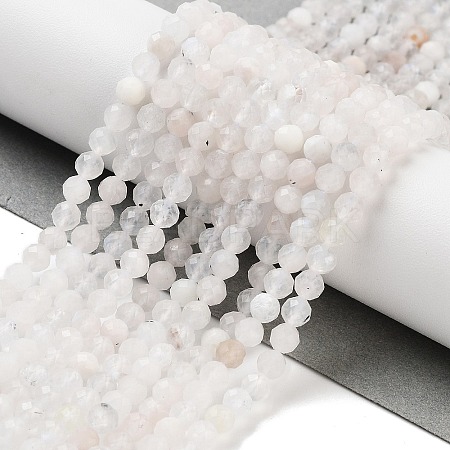Natural Rainbow Moonstone Beads Strands G-P500-01C-01A-1