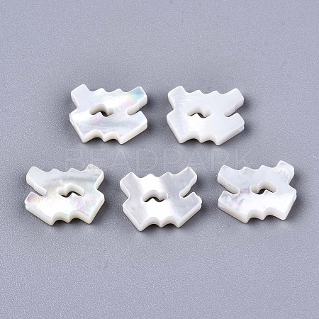 Natural White Shell Beads X-SSHEL-ZX004-02L-1