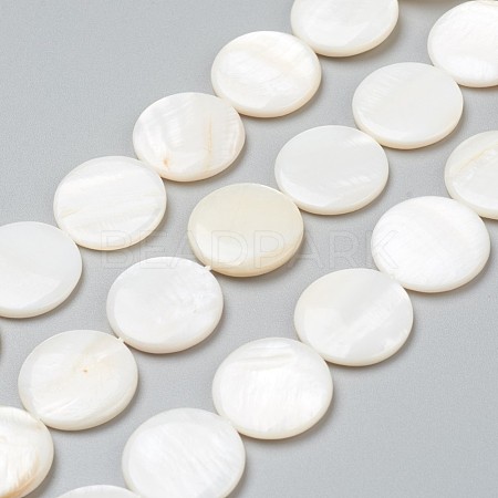 Natural Freshwater Shell Beads BSHE-I011-01A-02-1