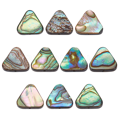 10Pcs Natural Abalone Shell/Paua Shell Beads SSHEL-BC0001-29-1