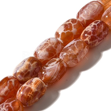 Natural Fire Crackle Agate(Dyed & Heated) Beads Strands G-H091-C03-01-1