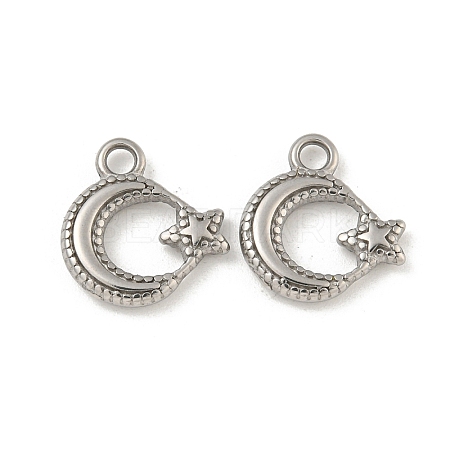 Non-Tarnish 304 Stainless Steel Charms STAS-N103-124P-1