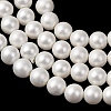 Round Shell Pearl Bead Strands LS-BSHE-L011-4mm-A013A-3