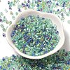 Transparent Glass Round Seed Beads SEED-B001-05A-09-2