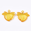 Transparent Acrylic Pendants TACR-S133-039-2