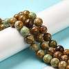 Natural Yellow Chrysocolla Beads Strands G-H298-A07-04-2