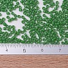 MIYUKI Delica Beads Small X-SEED-J020-DBS0724-3