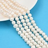 Natural Cultured Freshwater Pearl Beads Strands PEAR-I007-07X-12A-1