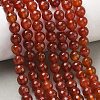 Dyed & Heated Natural Agate Beads Strands G-P539-D01-09-5