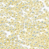 TOHO 11/0 Round Beads SEED-XTR11-2125-3