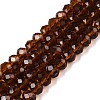 Glass Beads Strands EGLA-A044-T6mm-D02-1
