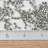 MIYUKI Delica Beads Small SEED-X0054-DBS0048-4