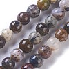 Natural Pietersite Beads Strands G-P428-06-6mm-2