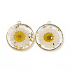Transparent Clear Epoxy Resin Pendants RESI-L036-12G-08-2