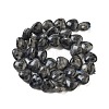 Natural Larvikite Beads Strands G-B022-28C-4