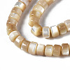 Natural Trochid Shell/Trochus Shell Beads Strands SSHEL-S266-016B-02-3