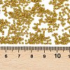 MIYUKI Delica Beads SEED-X0054-DB0665-3