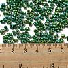 Glass Seed Beads SEED-K009-09A-01-4