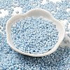 Glass Seed Beads SEED-K009-02A-03-2