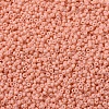 MIYUKI Round Rocailles Beads X-SEED-G007-RR4461-3