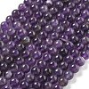 Natural Amethyst Beads Strands G-M445-8MM-01F-1