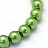 Baking Painted Pearlized Glass Pearl Round Bead Strands HY-Q003-10mm-13-2